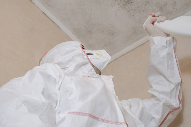 Best Bathroom Mold Remediation in Richmond, UT